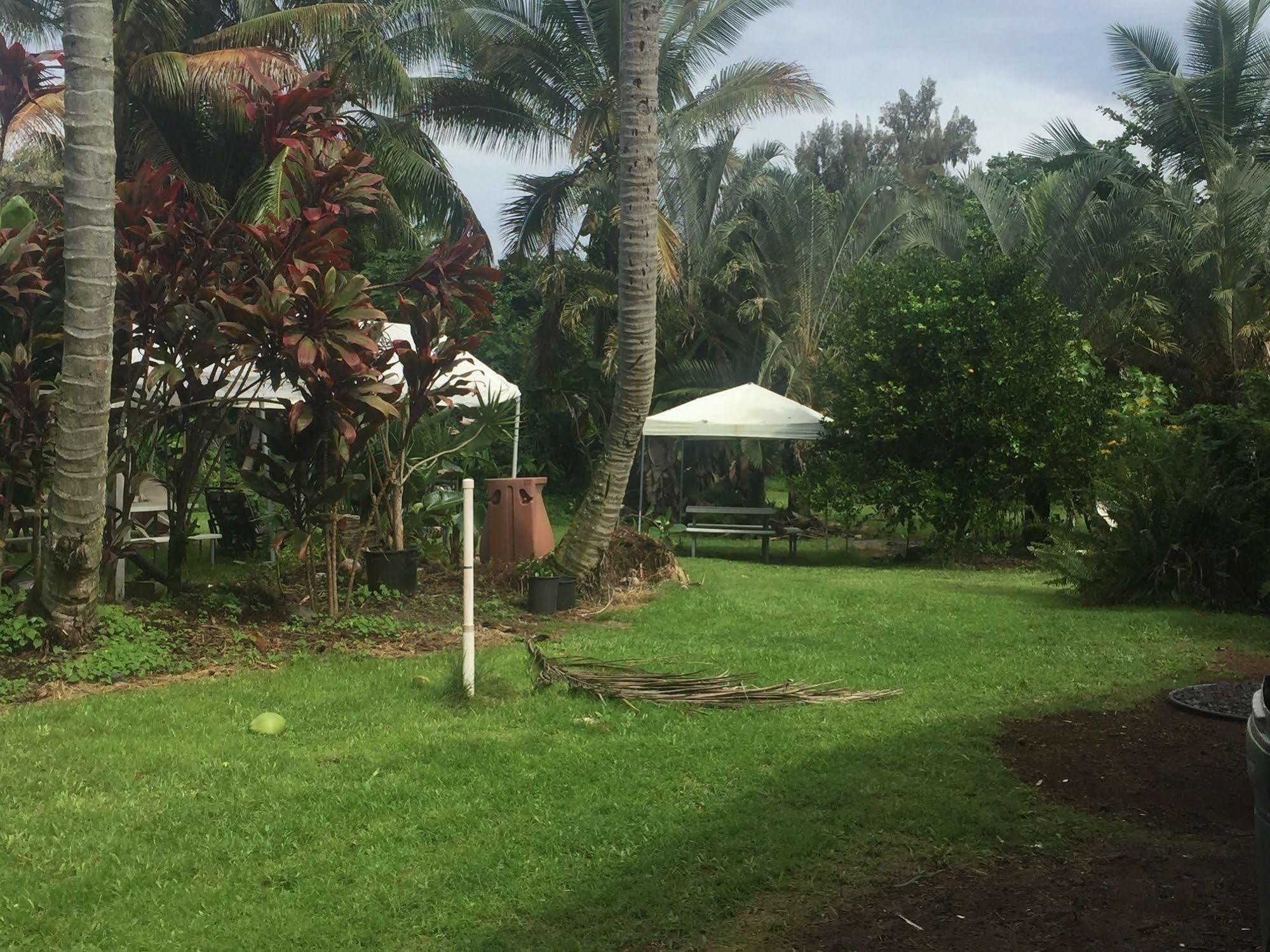 Aaron'S Cottage Hilo Bagian luar foto